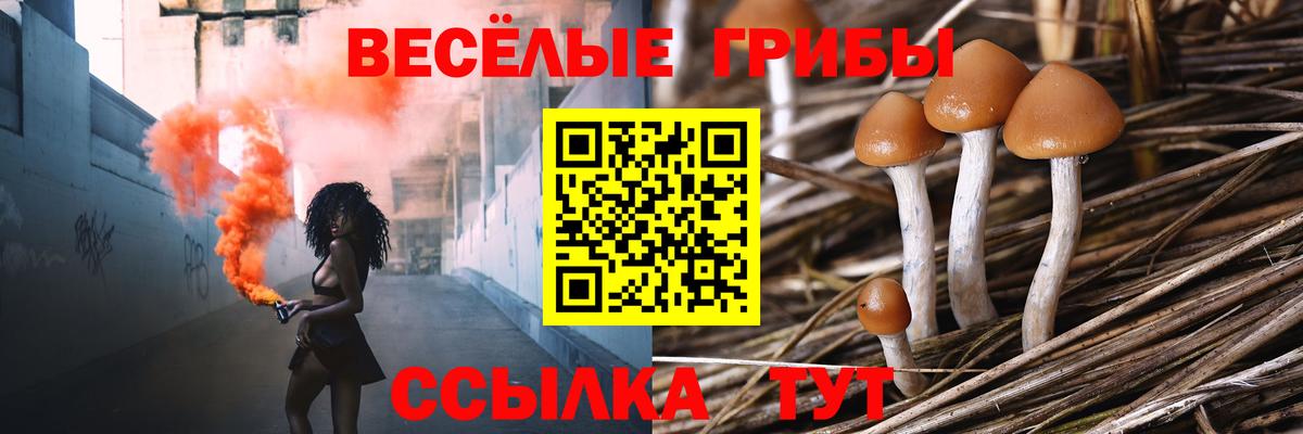 Всеволожск  Псилоцибиновые грибы Psilocybe  Вход с VPN 